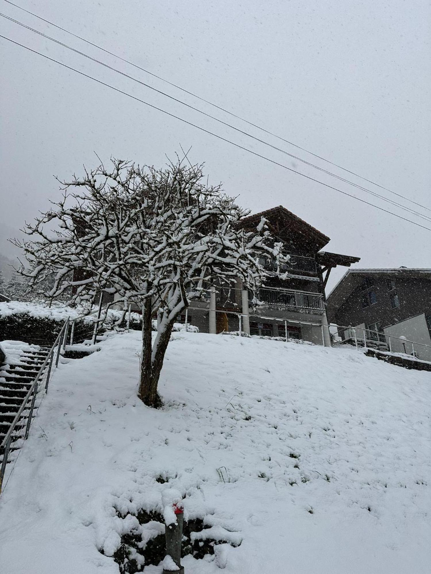 View * Niederried bei Interlaken